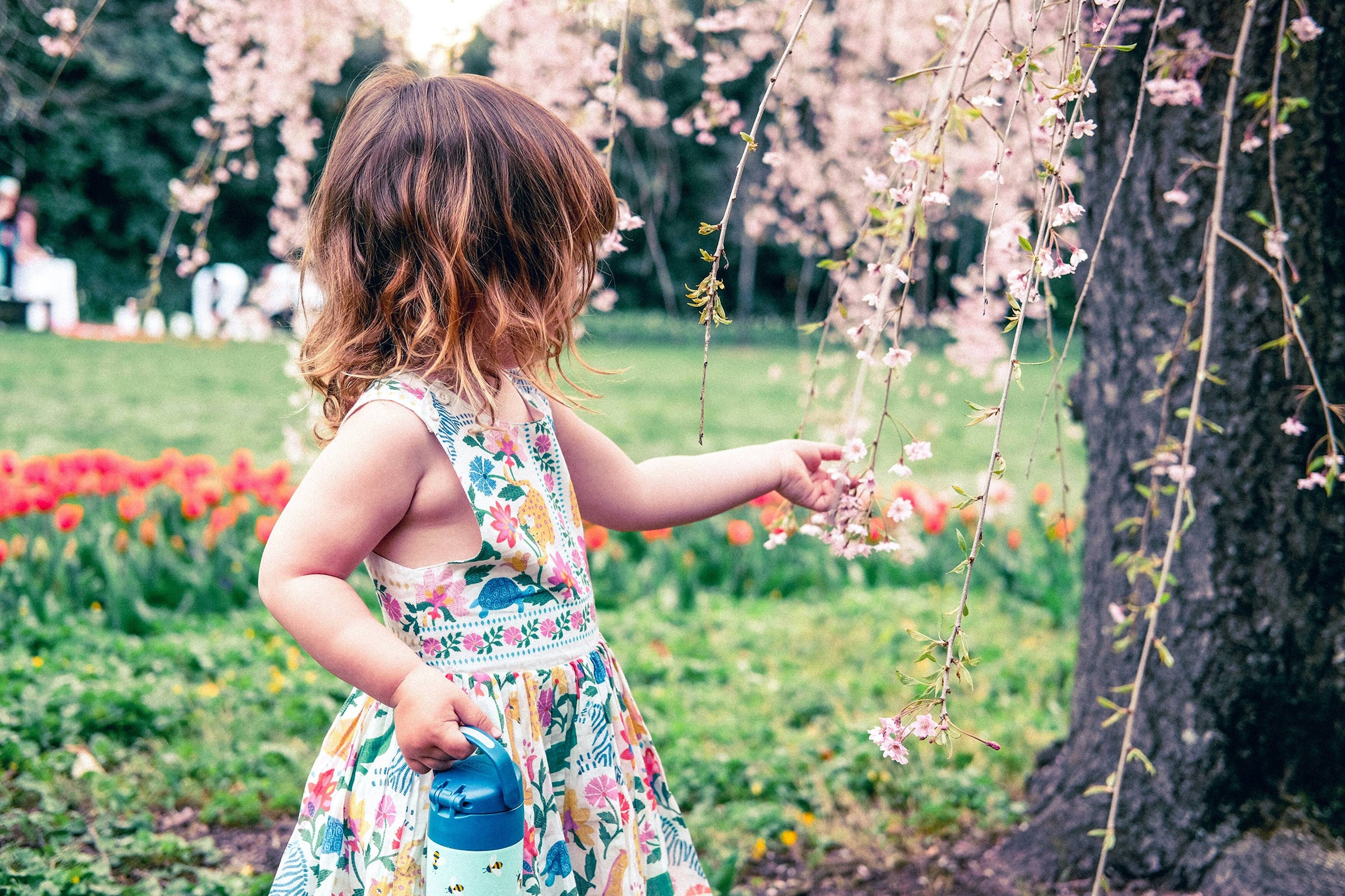 Home | Be Kind Kids